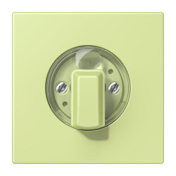 Jung Abdeckung für Drehschalter, Serie LS, vert...
