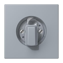 Jung Abdeckung für Drehschalter, Serie LS, gris...