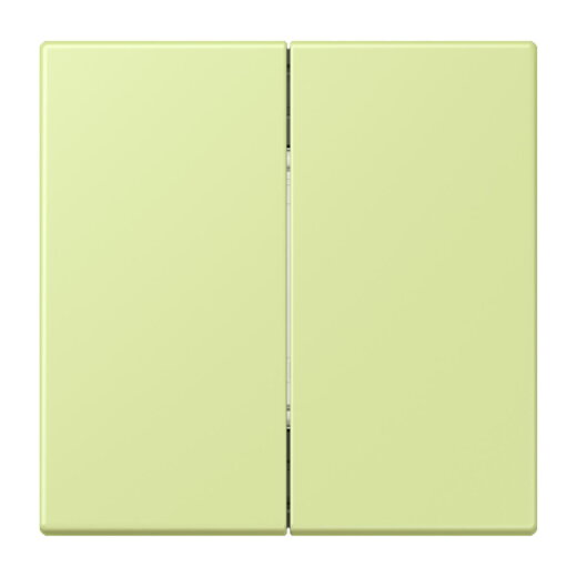 Jung Friends of Hue Funk-Wandsender Set 4-kanalig, Serie LS, vert jaune clair FOHLC995222