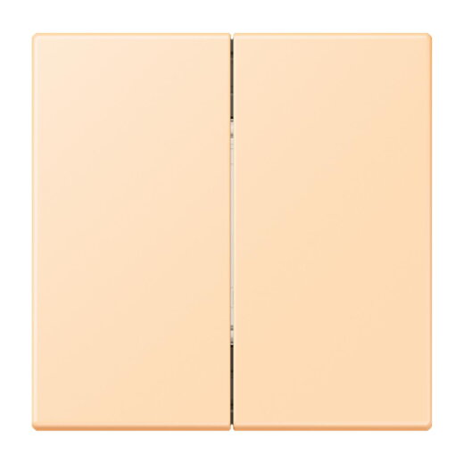 Jung Friends of Hue Funk-Wandsender Set 4-kanalig, Serie LS, ocre FOHLC995223