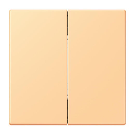 Jung Friends of Hue Funk-Wandsender Set 4-kanalig, Serie LS, terre sienne claire 59 FOHLC995258