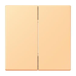 Jung Friends of Hue Funk-Wandsender Set 4-kanalig, Serie...