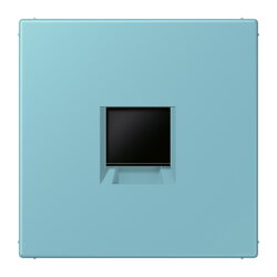 Jung Abdeckung (gerastet) für...