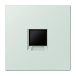 Jung Abdeckung (gerastet) für...