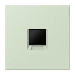 Jung Abdeckung (gerastet) für...