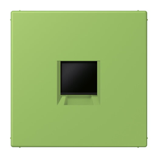 Jung Abdeckung (gerastet) für Modular-Jack-Steckbuchsen 1fach, Serie LS, vert 31 LC1969-1WE220