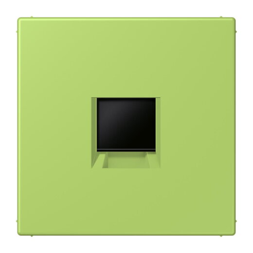 Jung Abdeckung (gerastet) für Modular-Jack-Steckbuchsen 1fach, Serie LS, vert clair LC1969-1WE221