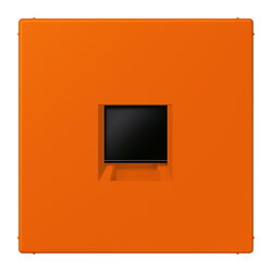 Jung Abdeckung (gerastet) für...