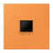 Jung Abdeckung (gerastet) für Modular-Jack-Steckbuchsen 1fach, Serie LS, orange clair LC1969-1WE225