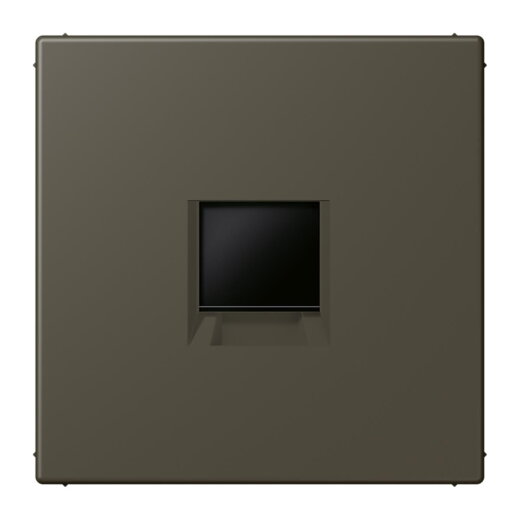 Jung Abdeckung (gerastet) für Modular-Jack-Steckbuchsen 1fach, Serie LS, ombre naturelle 31 LC1969-1WE241