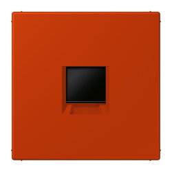 Jung Abdeckung (gerastet) für...