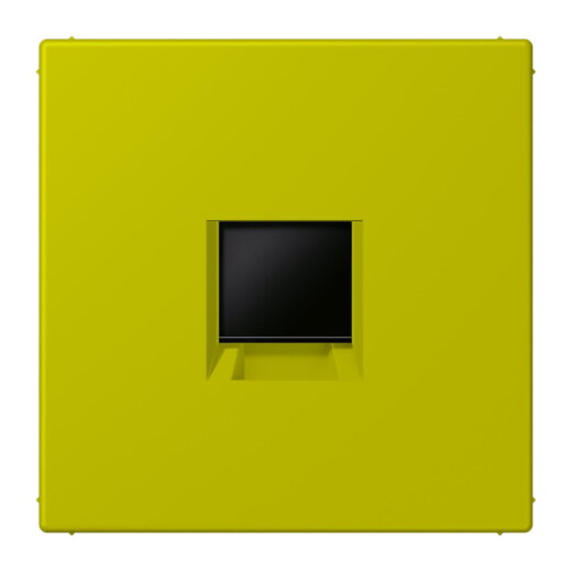 Jung Abdeckung (gerastet) für Modular-Jack-Steckbuchsen 1fach, Serie LS, vert olive vif LC1969-1WE249