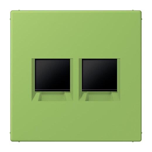 Jung Abdeckung (gerastet) für Modular-Jack-Steckbuchsen 2fach, Serie LS, vert 31 LC1969-2WE220