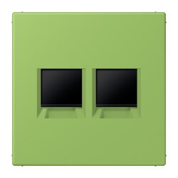 Jung Abdeckung (gerastet) für...