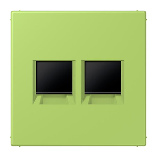 Jung Abdeckung (gerastet) für Modular-Jack-Steckbuchsen 2fach, Serie LS, vert clair LC1969-2WE221