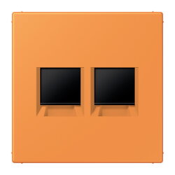 Jung Abdeckung (gerastet) für...