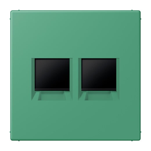 Jung Abdeckung (gerastet) für Modular-Jack-Steckbuchsen 2fach, Serie LS, vert 59 LC1969-2WE250