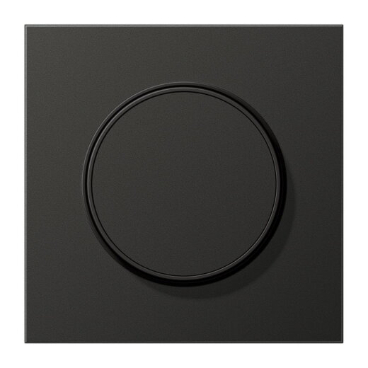Jung Abdeckung für Drehdimmer, Aluminium lackiert, Serie LS, anthrazit (lackiertes Aluminium) AL1740AN