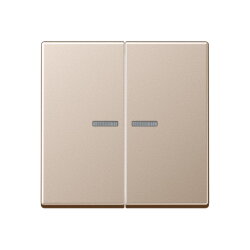 Jung KNX RF Taster 2fach, Duroplast lackiert, Serie A,...