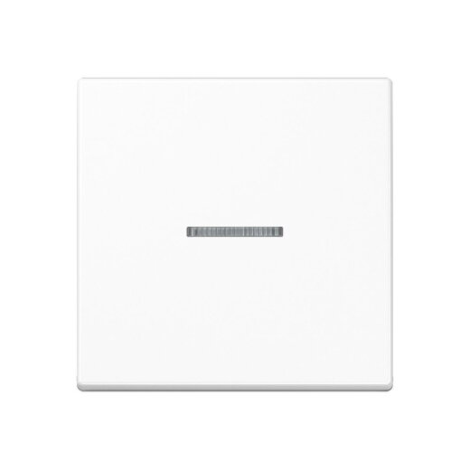 Jung HOME Taster 1fach, Duroplast, Serie A, alpinweiß BTA17101WW