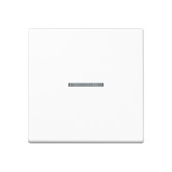 Jung HOME Taster 1fach, Duroplast, Serie A,...