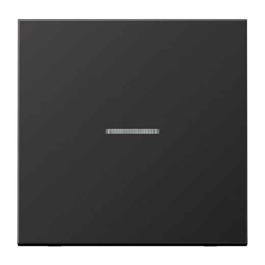 Jung HOME Taster 1fach, Aluminium lackiert, Serie LS, dark (lackiertes Aluminium) BTAL17101D
