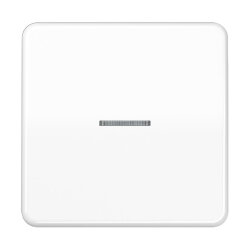 Jung HOME Taster 1fach, Duroplast, Serie CD,...