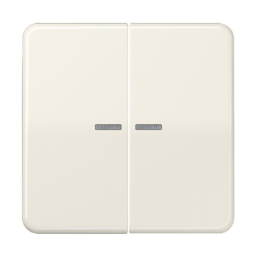 Jung HOME Taster 2fach, Duroplast, Serie CD, weiß BTCD17102