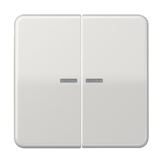 Jung HOME Taster 2fach, Duroplast, Serie CD, lichtgrau BTCD17102LG