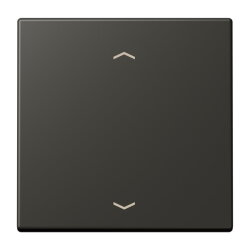 Jung Wippe, mit Pfeilsymbolen für Taster 1fach,...