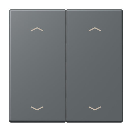 Jung Wippe, mit Pfeilsymbolen für Taster 2fach, Serie LS, gris foncé 31 LC102P202