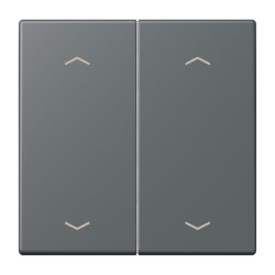 Jung Wippe, mit Pfeilsymbolen für Taster 2fach,...