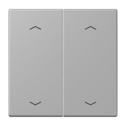 Jung Wippe, mit Pfeilsymbolen für Taster 2fach, Serie LS, gris moyen LC102P204