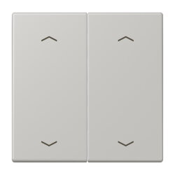 Jung Wippe, mit Pfeilsymbolen für Taster 2fach,...