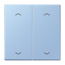 Jung Wippe, mit Pfeilsymbolen für Taster 2fach,...