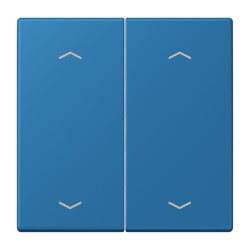 Jung Wippe, mit Pfeilsymbolen für Taster 2fach,...