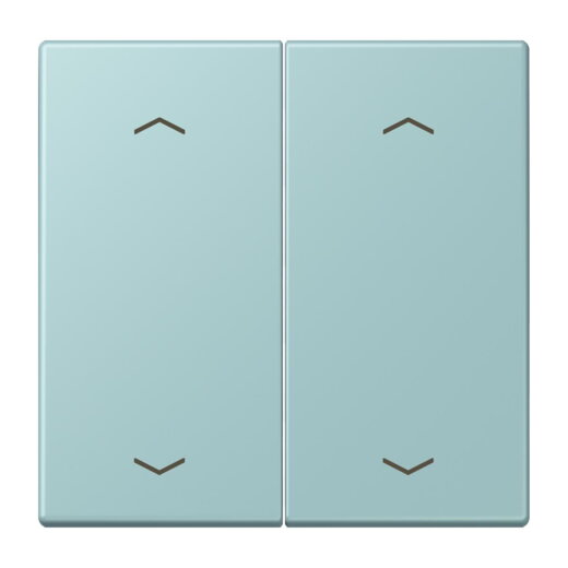 Jung Wippe, mit Pfeilsymbolen für Taster 2fach, Serie LS, céruléen clair LC102P214