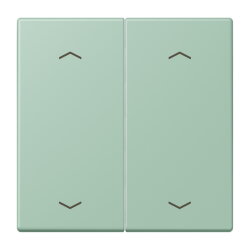 Jung Wippe, mit Pfeilsymbolen für Taster 2fach,...