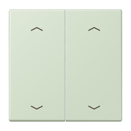 Jung Wippe, mit Pfeilsymbolen für Taster 2fach, Serie LS, vert anglâis pale LC102P218