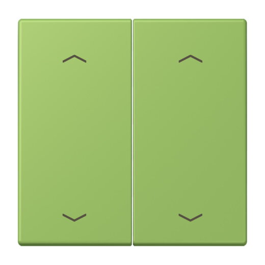 Jung Wippe, mit Pfeilsymbolen für Taster 2fach, Serie LS, vert 31 LC102P220