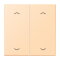 Jung Wippe, mit Pfeilsymbolen für Taster 2fach, Serie LS, ocre LC102P223