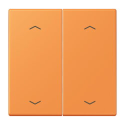 Jung Wippe, mit Pfeilsymbolen für Taster 2fach,...