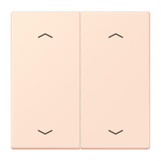 Jung Wippe, mit Pfeilsymbolen für Taster 2fach, Serie LS, orange pâle LC102P226