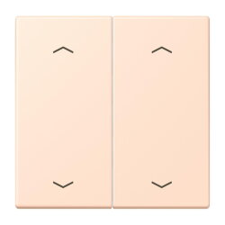 Jung Wippe, mit Pfeilsymbolen für Taster 2fach,...