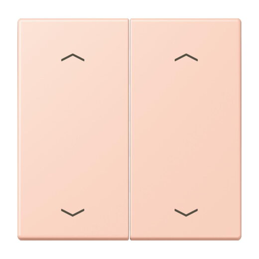 Jung Wippe, mit Pfeilsymbolen für Taster 2fach, Serie LS, locre rouge clair LC102P234