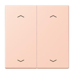 Jung Wippe, mit Pfeilsymbolen für Taster 2fach,...