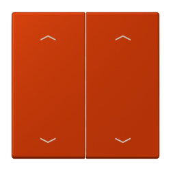 Jung Wippe, mit Pfeilsymbolen für Taster 2fach,...