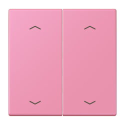 Jung Wippe, mit Pfeilsymbolen für Taster 2fach,...