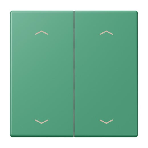 Jung Wippe, mit Pfeilsymbolen für Taster 2fach, Serie LS, vert 59 LC102P250