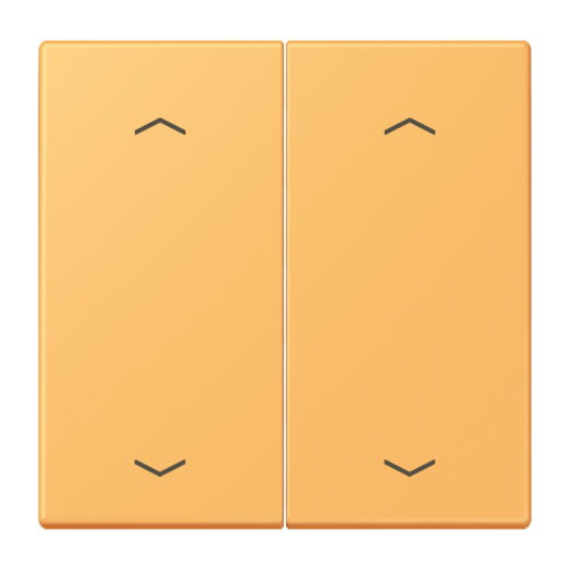 Jung Wippe, mit Pfeilsymbolen für Taster 2fach, Serie LS, ocre jaune clair LC102P254